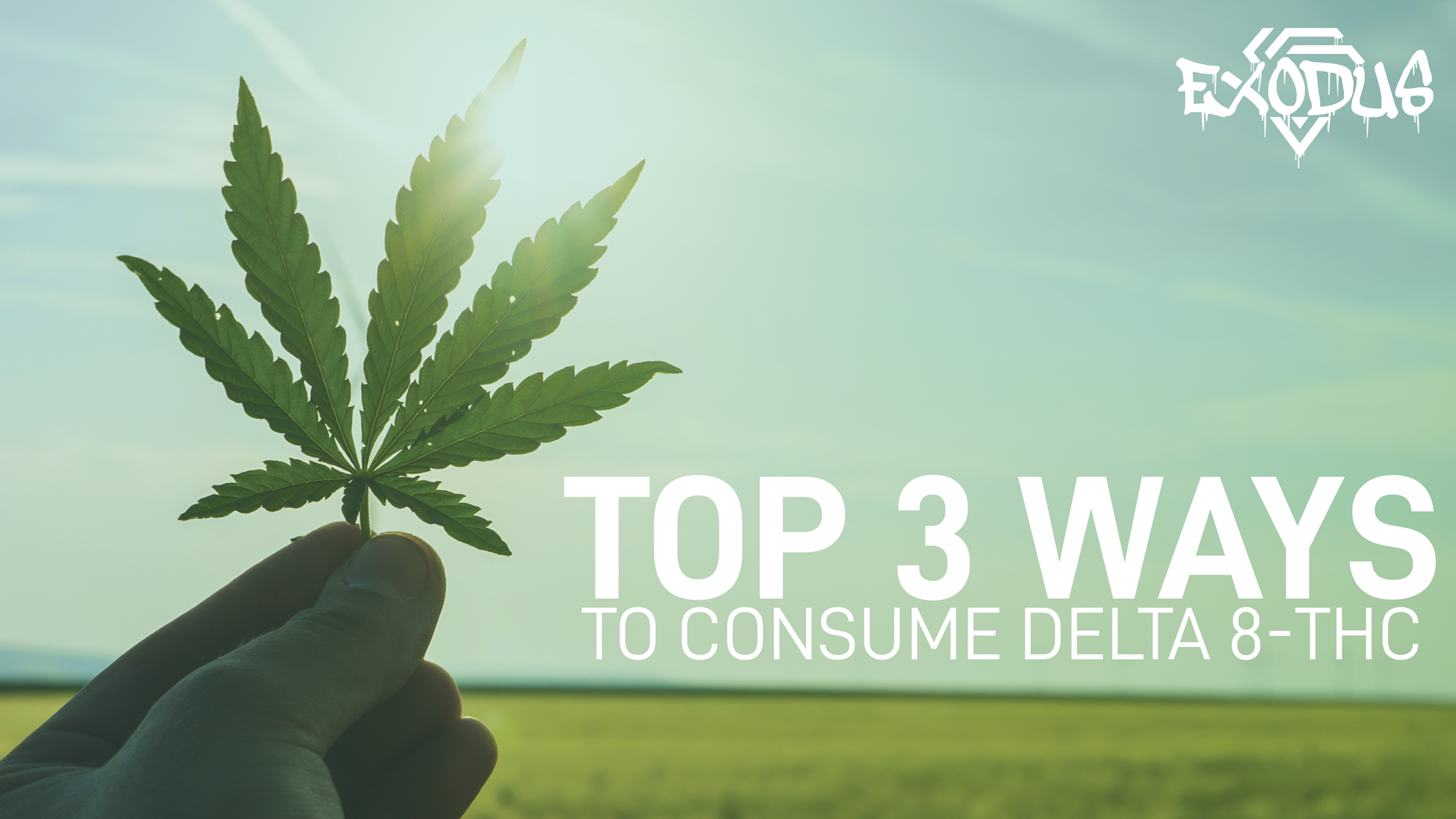 Top 3 Ways To Consume Delta 8