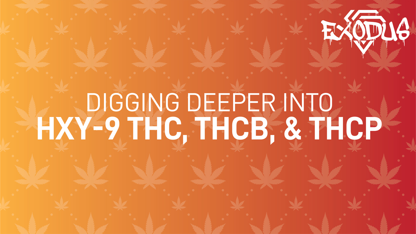 digging-deeper-into-thcb