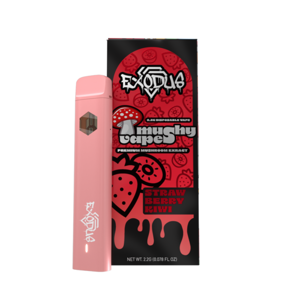 Strawberry Kiwi 2.2G disposable by Exodus