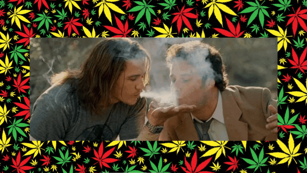Cannabis Festivals for a Stylish 420 Celebration