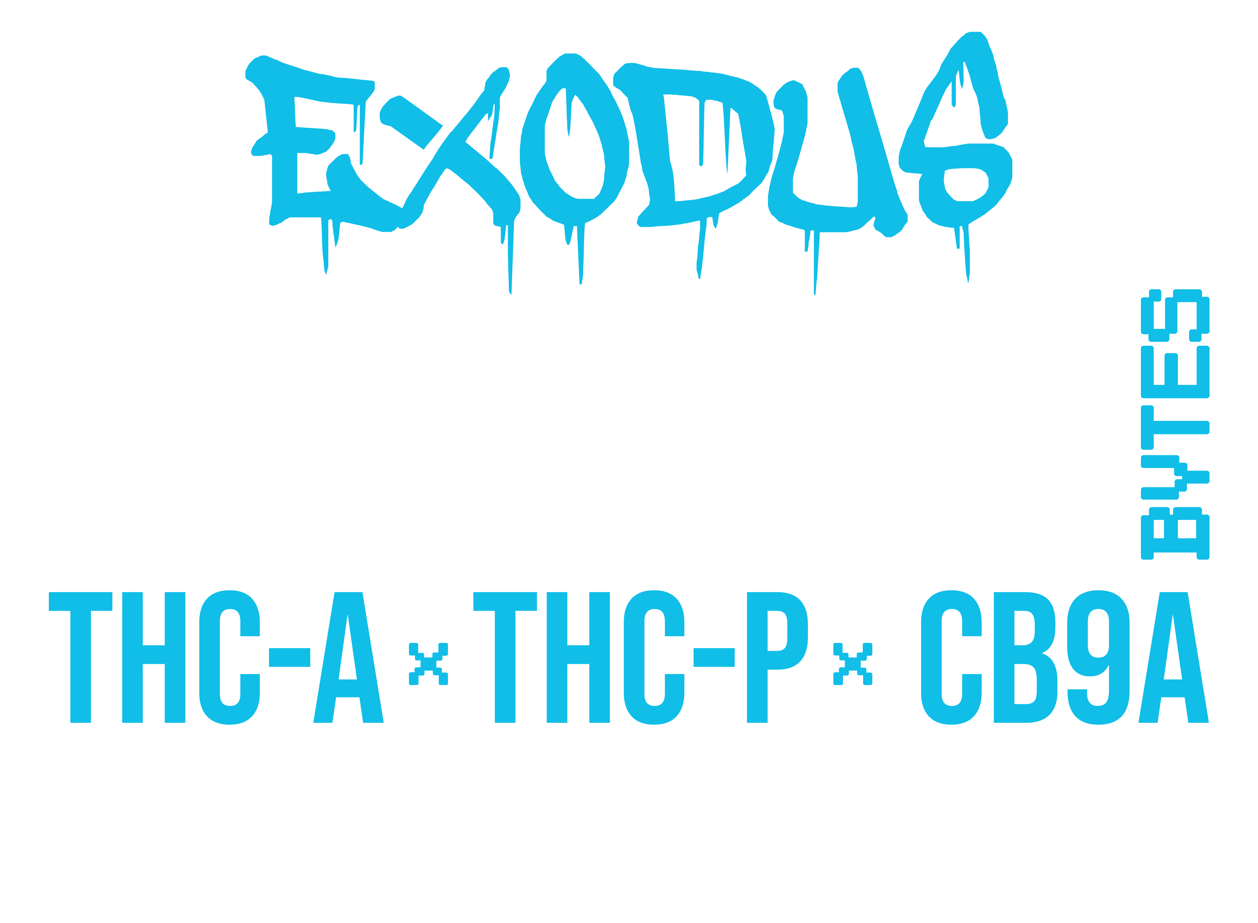 Exodus Gigabytes Gummy Bytes
