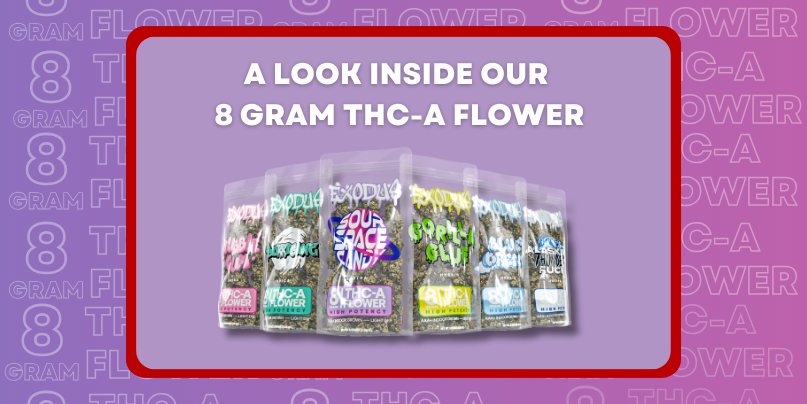 A Look Inside Our 8 Gram THC-A Flower